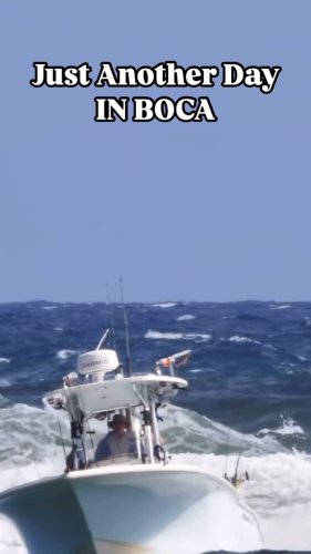 Video post from ejs_fishing_charters.