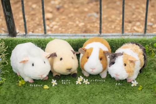 Carousel post from yoshitoku_plush.