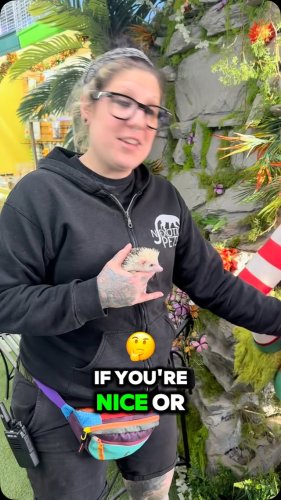 Video post from njexoticpets.