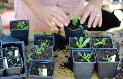 Photo post from gardenhousebrighton.