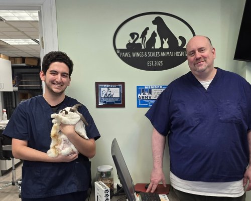 Photo post from njexoticpets.