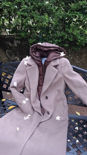 Video post from universaltraveller_my.