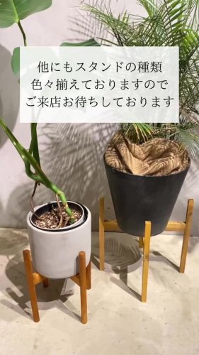 Video post.