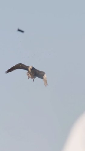 Video post from northernskiesoutfitters.