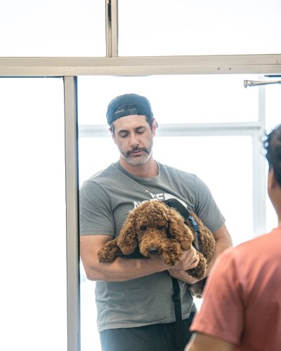 Photo post from medicalpettj.