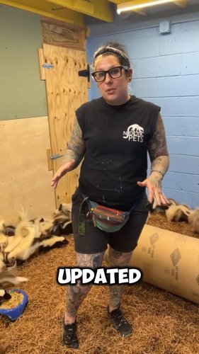 Video post from njexoticpets.
