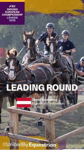 Video post from fei_global.