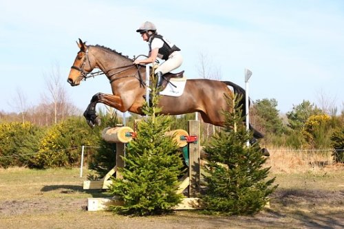 Carousel post from woodward_eventing.