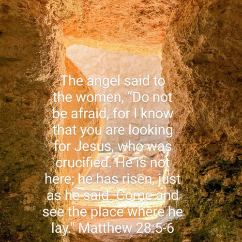 Photo post from princessprojectuk.