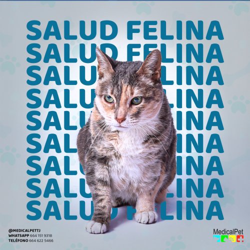 Photo post from medicalpettj.