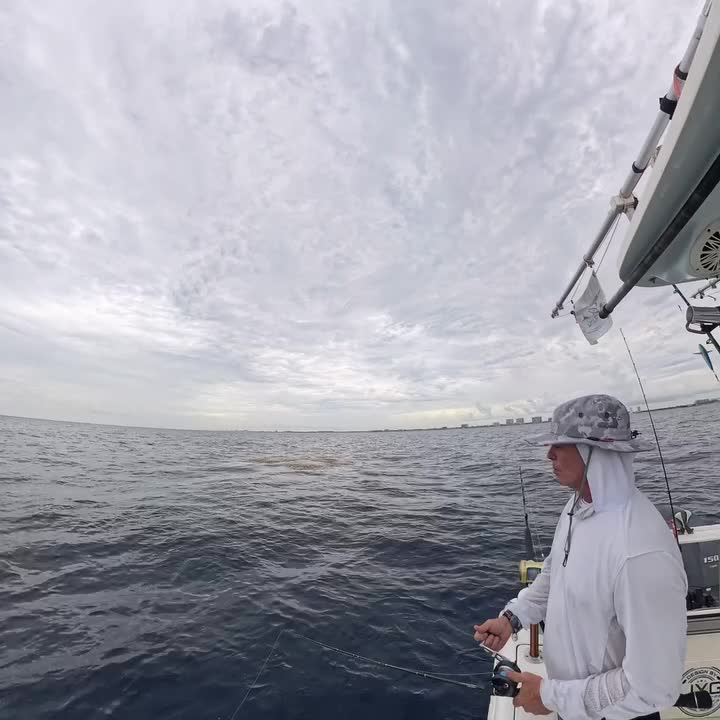 Video post from ejs_fishing_charters.