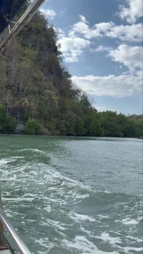 Video post from nighathashmi.