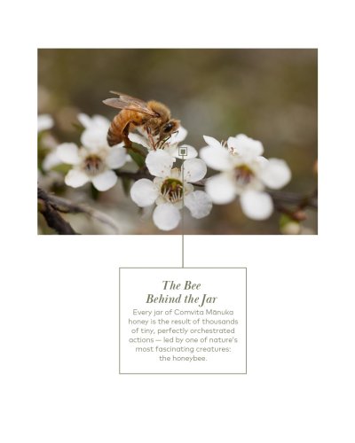 Carousel post from comvita_au.