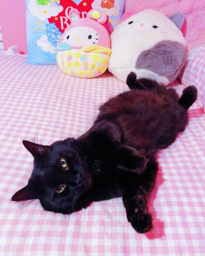 Photo post from margaritabloom.