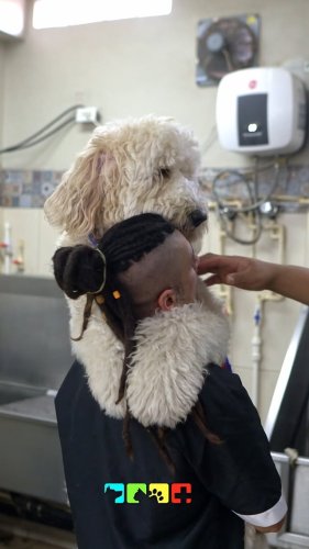 Video post from medicalpettj.