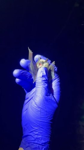Video post from epagov.