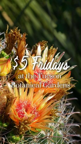 Video post from visittucson.