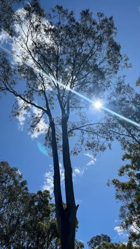 Video post from sylvanali.reiki.andbeyond.