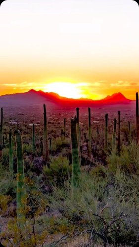 Video post from visittucson.
