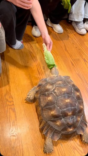Video post from njexoticpets.