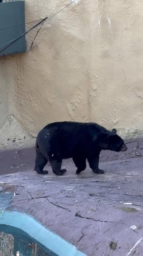 Video post from travelonboardnick_cale.