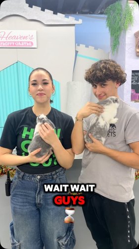 Video post from njexoticpets.