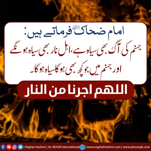 Photo post from nighathashmi.