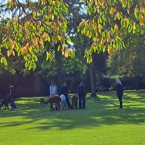 Photo post from wadhamoxford.