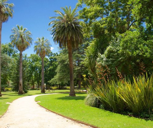 Photo post from alburycity.