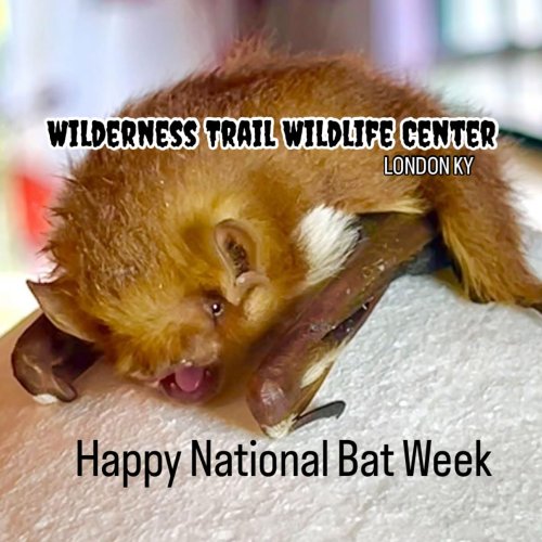 Photo post from wildernesstrailwildlifecenter.