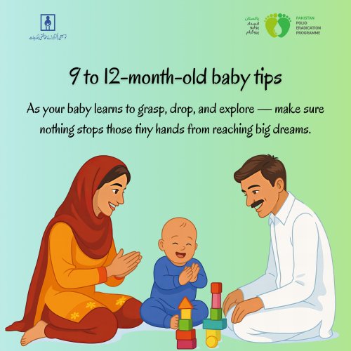 Photo post from pakfightspolio.