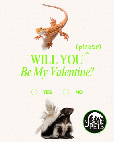 Photo post from njexoticpets.