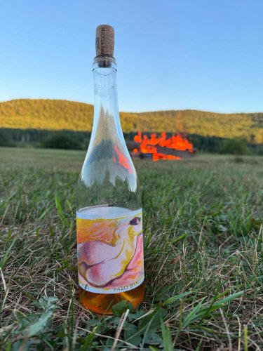 Photo post from dandywineshop.
