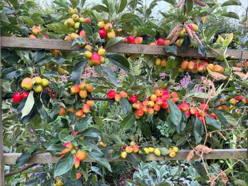 Photo post from gardenhousebrighton.