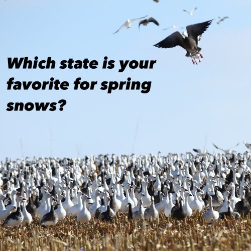 Photo post from northernskiesoutfitters.