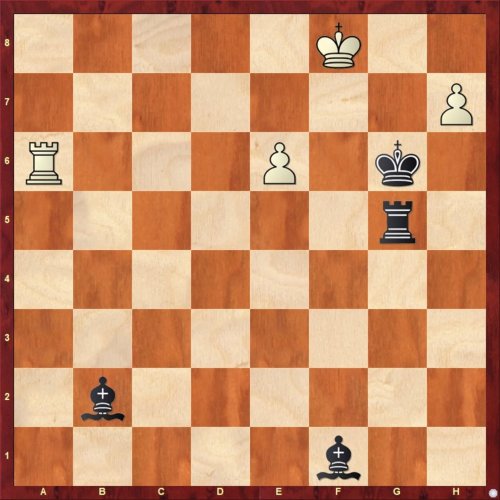 Photo post from chessbaseindia.
