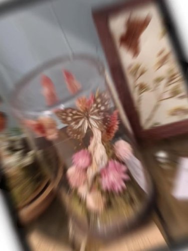 Video post from niftygiftynorfolk.