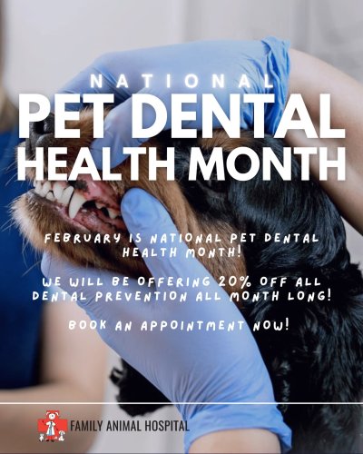 Photo post from familyanimalhospitalcm.