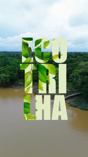 Video post from ananindeuapma.