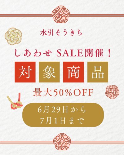 水引製品のことなら南信州産直通販 水引そうきち