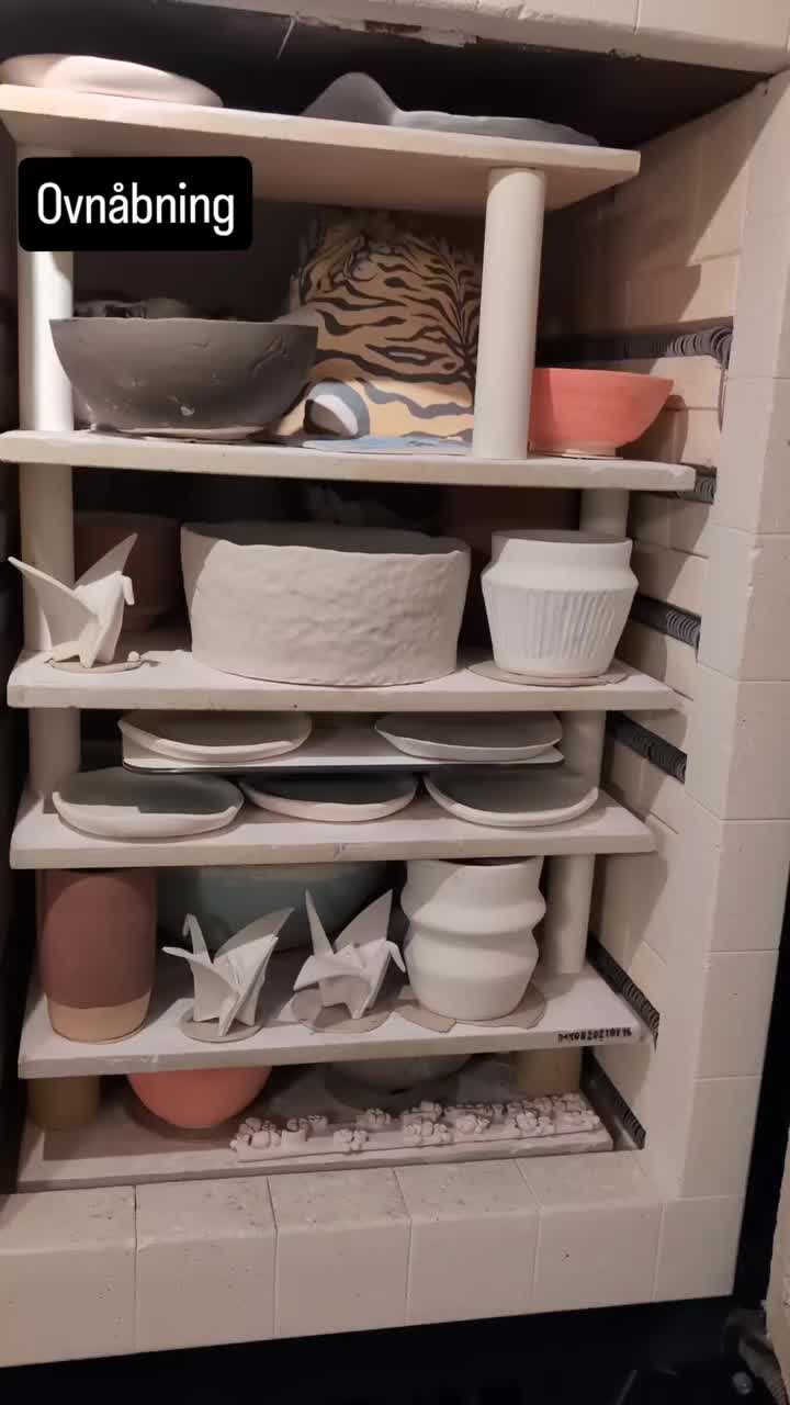 Video post from claymakers.royal.