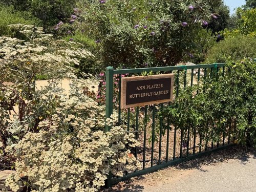 Carousel post from ucrbotanicgardens.