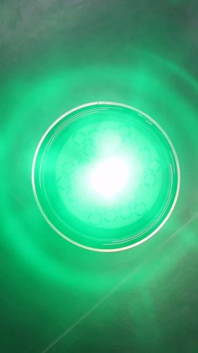 Video post from complianttech.