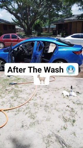 Video post from 229suckafree.