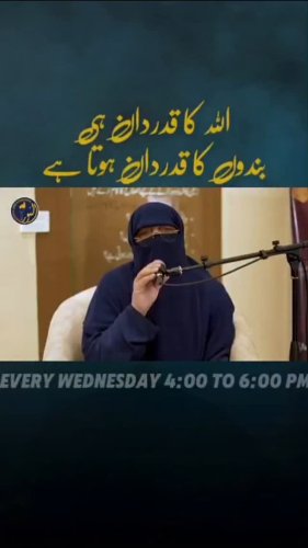 Video post from nighathashmi.