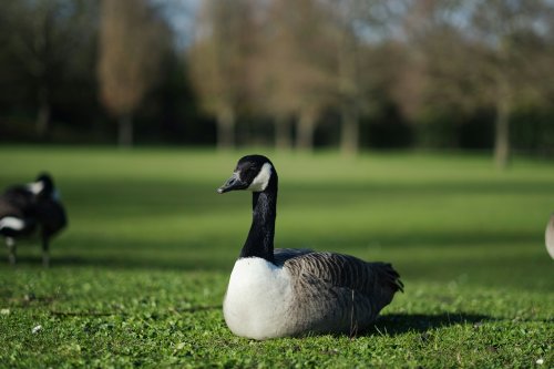 Photo post from naturbutikken.dk.