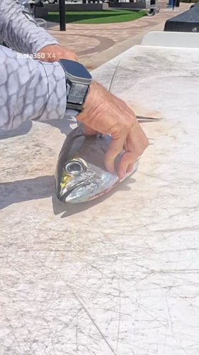 Video post from ejs_fishing_charters.