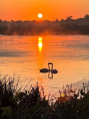 Carousel post from theresa13maria.