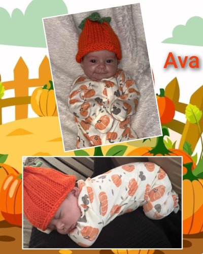 Photo post from niftygiftynorfolk.