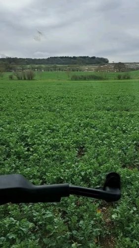 Video post from crowmarshbattlefarms.